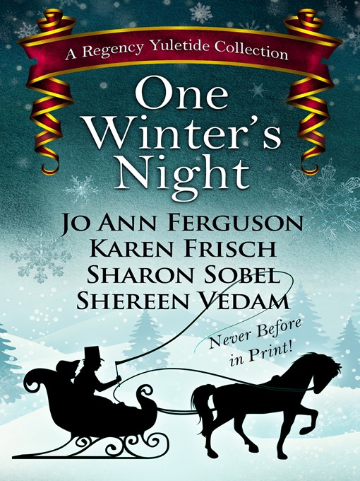 Title details for One Winter's Night by Sharon Sobel - Wait list